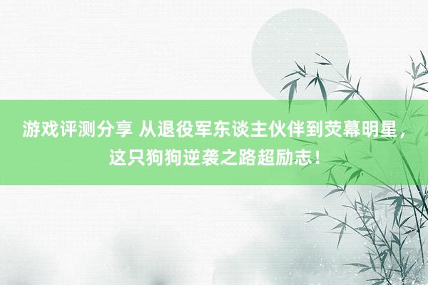 游戏评测分享 从退役军东谈主伙伴到荧幕明星，这只狗狗逆袭之路超励志！